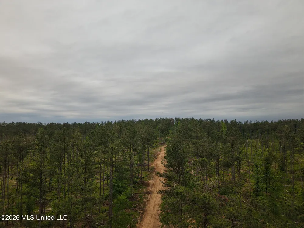 Graysport Crossing Road Grenada, MS 38901