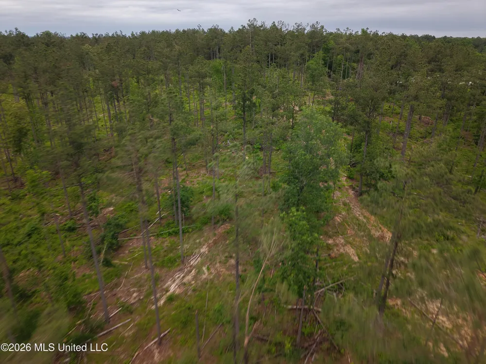 Graysport Crossing Road Grenada, MS 38901