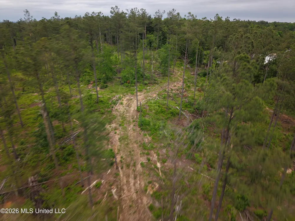 Graysport Crossing Road Grenada, MS 38901