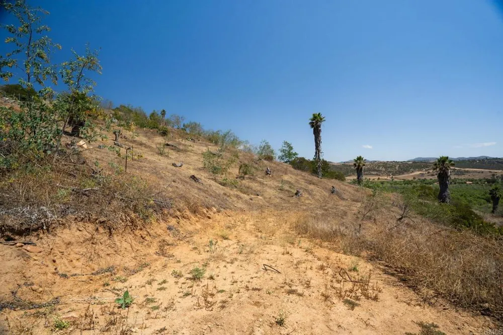 3503 Monserate Hill Road Fallbrook, CA 92028
