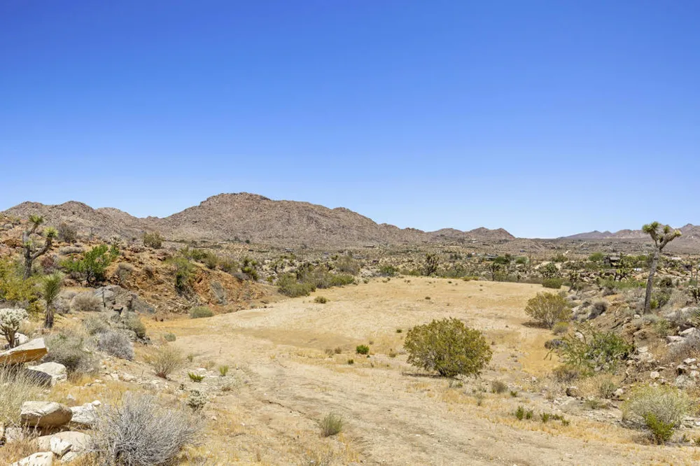 8669 Via Rocosa Road Joshua Tree, CA 92252