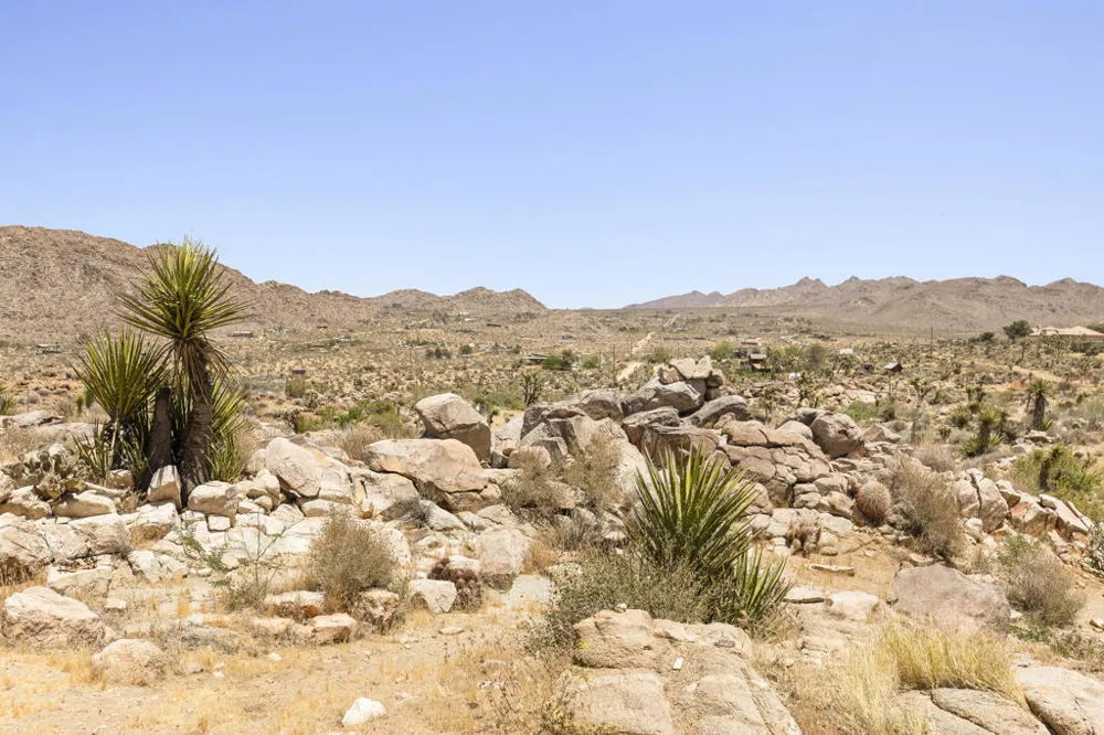 8669 Via Rocosa Road Joshua Tree, CA 92252