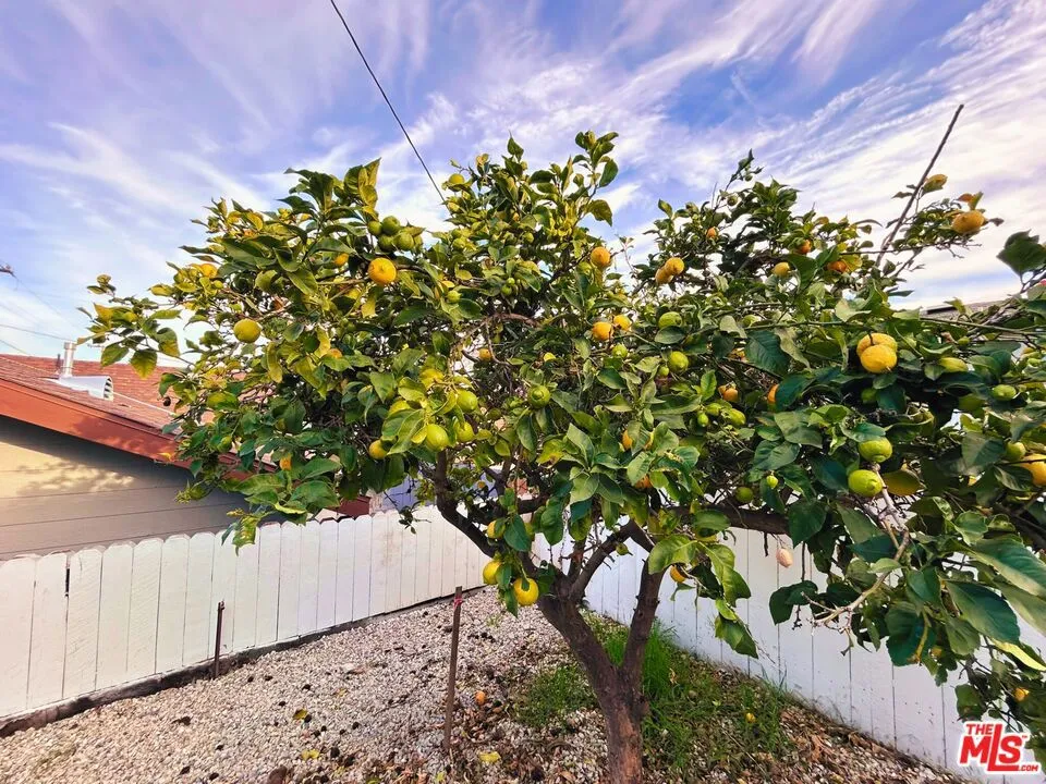 1109 Chester Avenue Inglewood, CA 90302