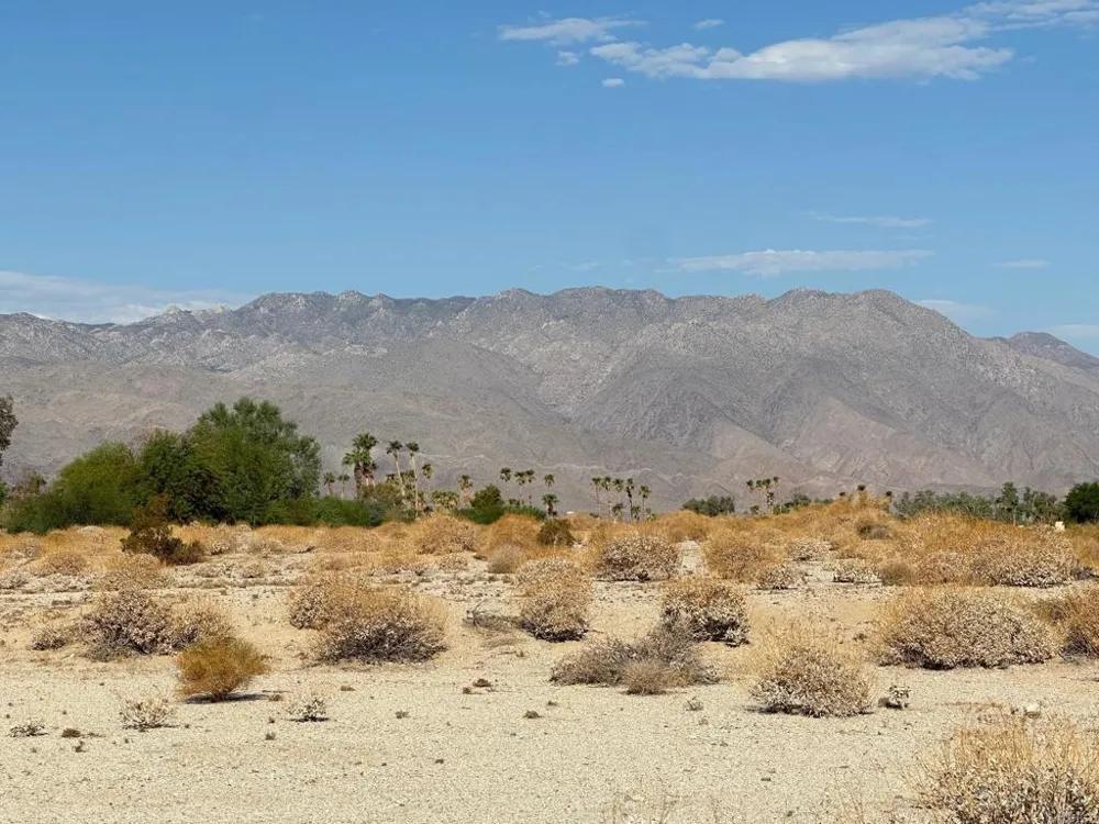 Roadrunner Drive Borrego Springs, CA 92004