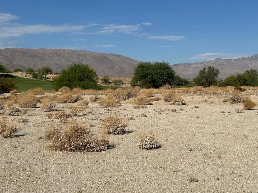 Roadrunner Drive Borrego Springs, CA 92004