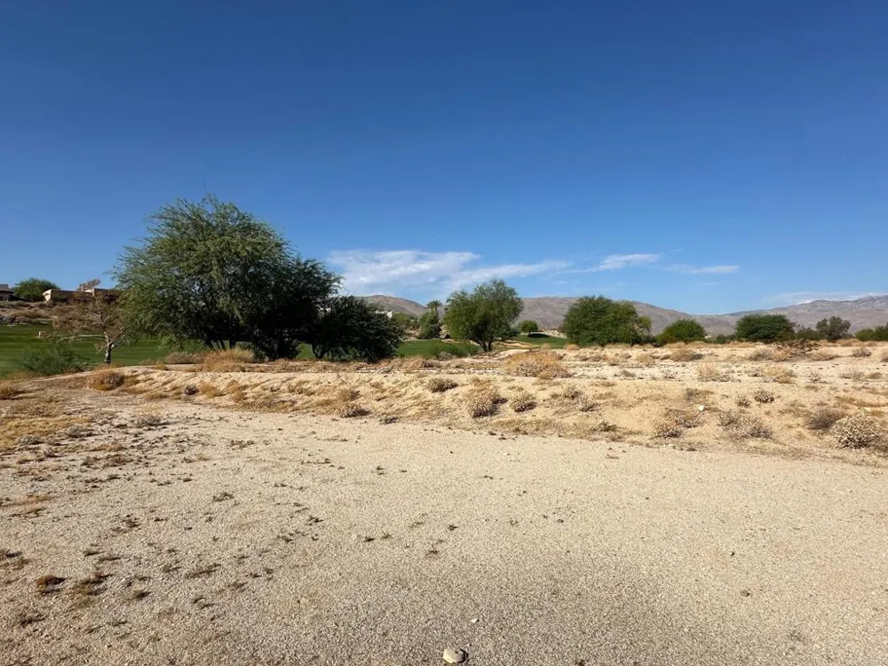 Roadrunner Drive Borrego Springs, CA 92004
