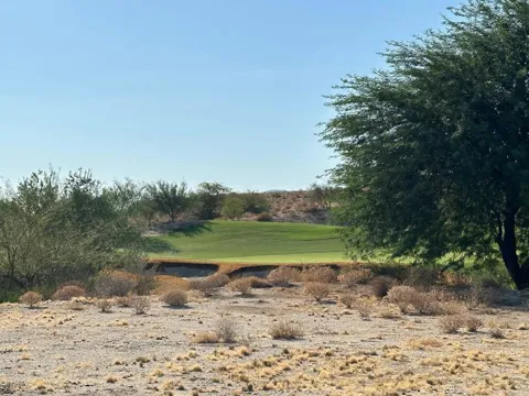 Roadrunner Drive