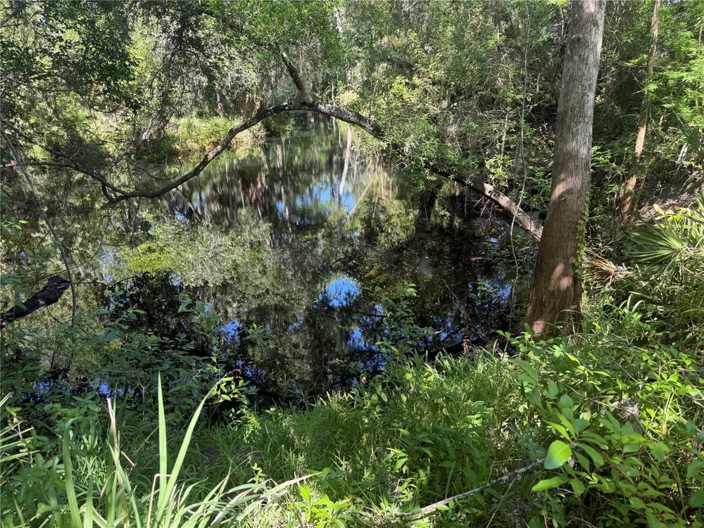 3621 ELFERS PARKWAY New Port Richey, FL 34655