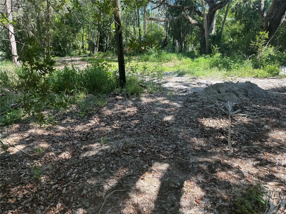 3621 ELFERS PARKWAY New Port Richey, FL 34655