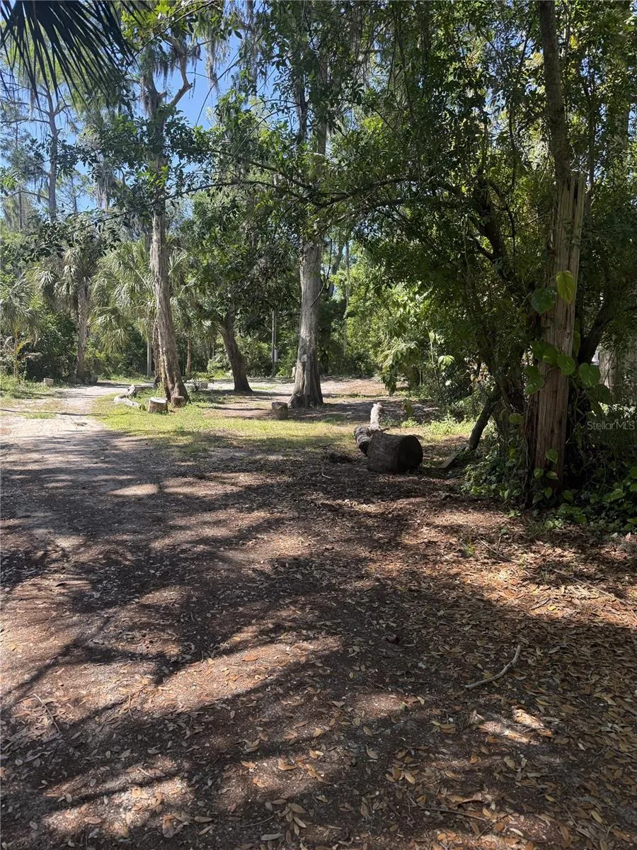 3621 ELFERS PARKWAY New Port Richey, FL 34655