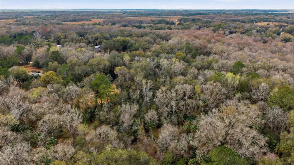 598 S CHAMBERS WAY Inverness, FL 34450