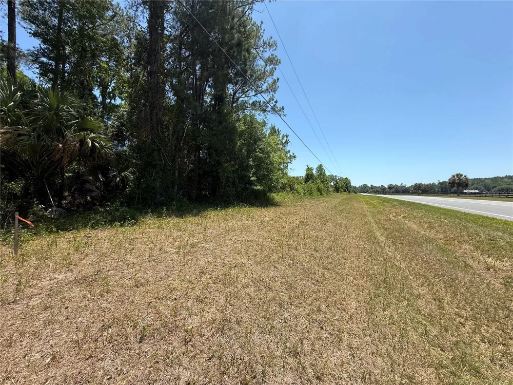 00 NW HWY 225 Reddick, FL 32686