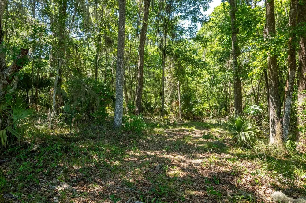 00 NW HWY 225 Reddick, FL 32686