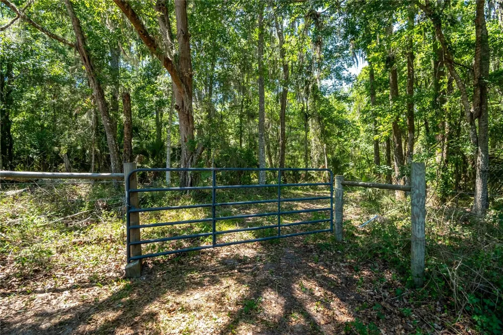 00 NW HWY 225 Reddick, FL 32686