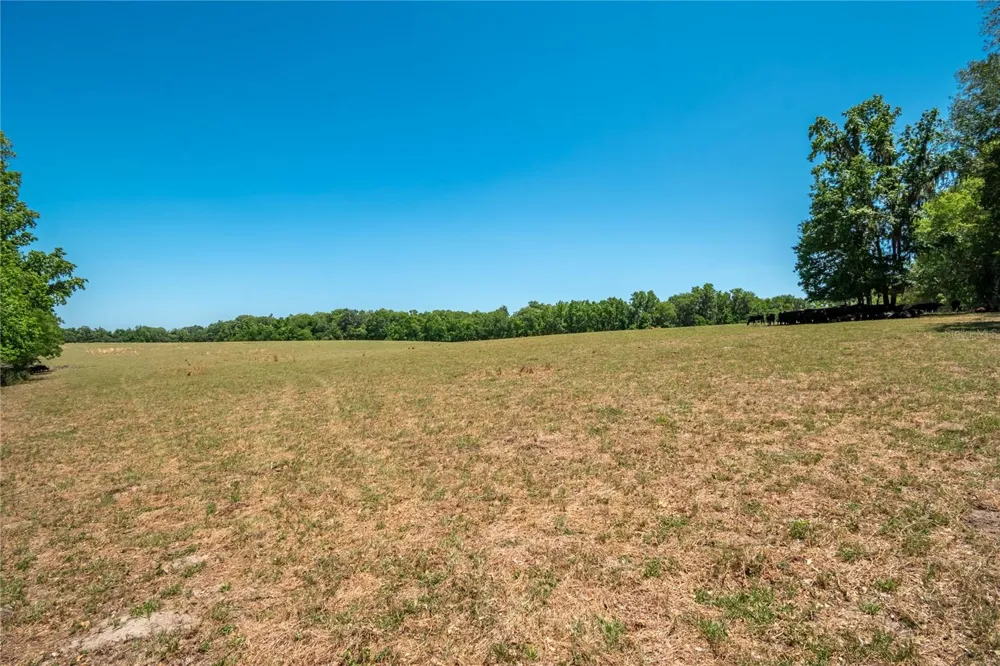 00 NW HWY 225 Reddick, FL 32686