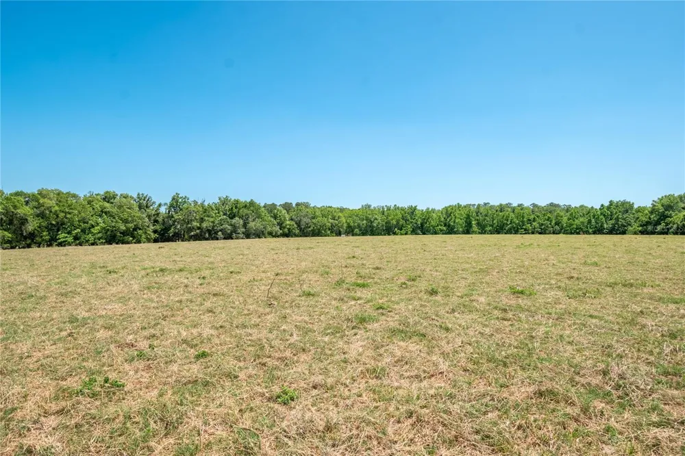 00 NW HWY 225 Reddick, FL 32686
