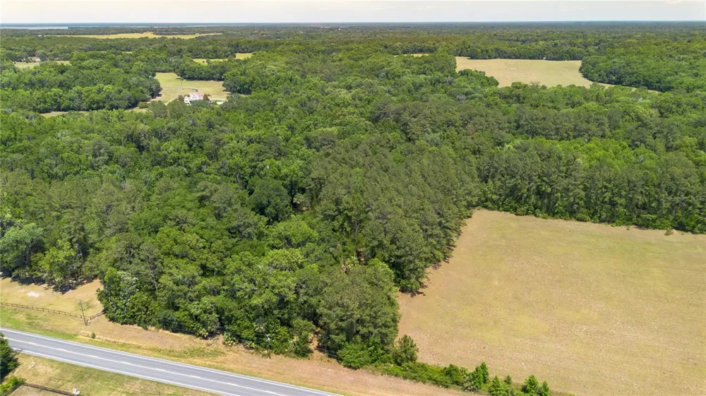 00 NW HWY 225 Reddick, FL 32686