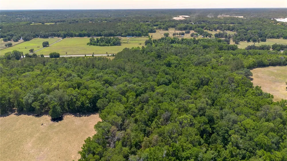 00 NW HWY 225 Reddick, FL 32686