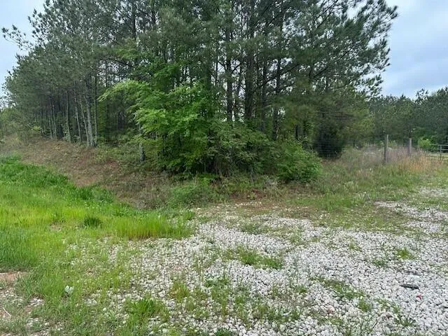 55 Spring Place Road Cartersville, GA 30121