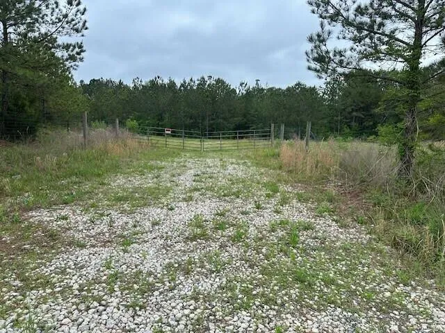 55 Spring Place Road Cartersville, GA 30121