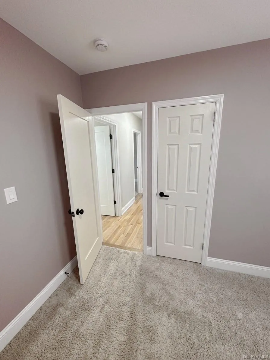 176-65 132nd Avenue Springfield Gardens, NY 11434