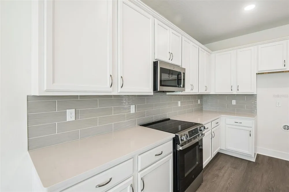 31844 CLOVER FIN COURT Wesley Chapel, FL 33545