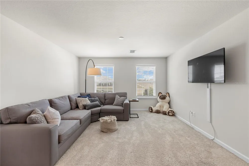 7878 GREENWAY AVENUE Wesley Chapel, FL 33544