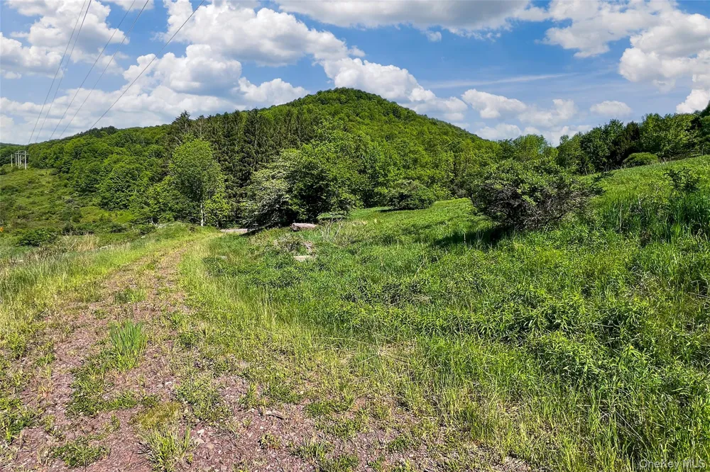 26 Federal Hill 2 Road Delhi, NY 13753