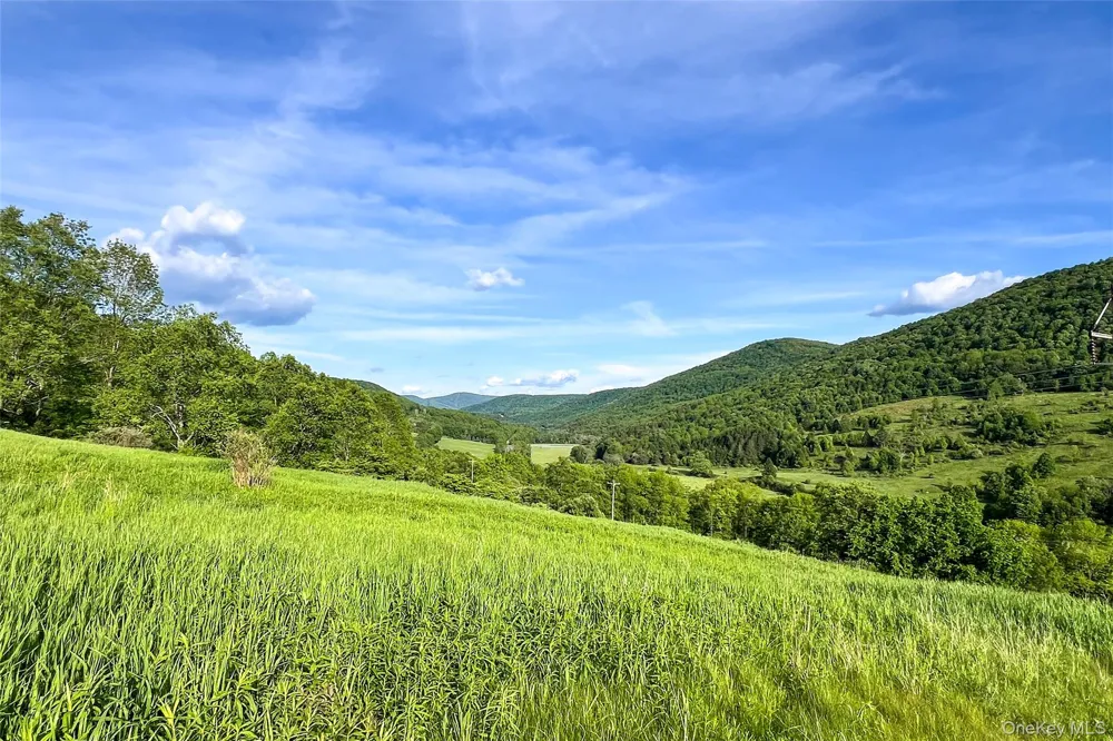 26 Federal Hill 2 Road Delhi, NY 13753