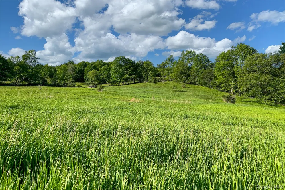 26 Federal Hill 2 Road Delhi, NY 13753