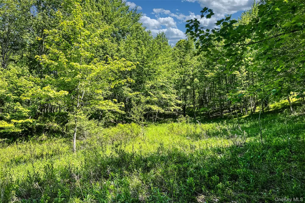 26 Federal Hill 2 Road Delhi, NY 13753
