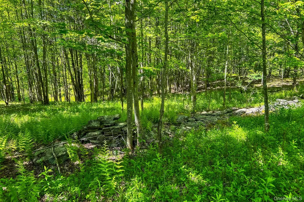 26 Federal Hill 2 Road Delhi, NY 13753