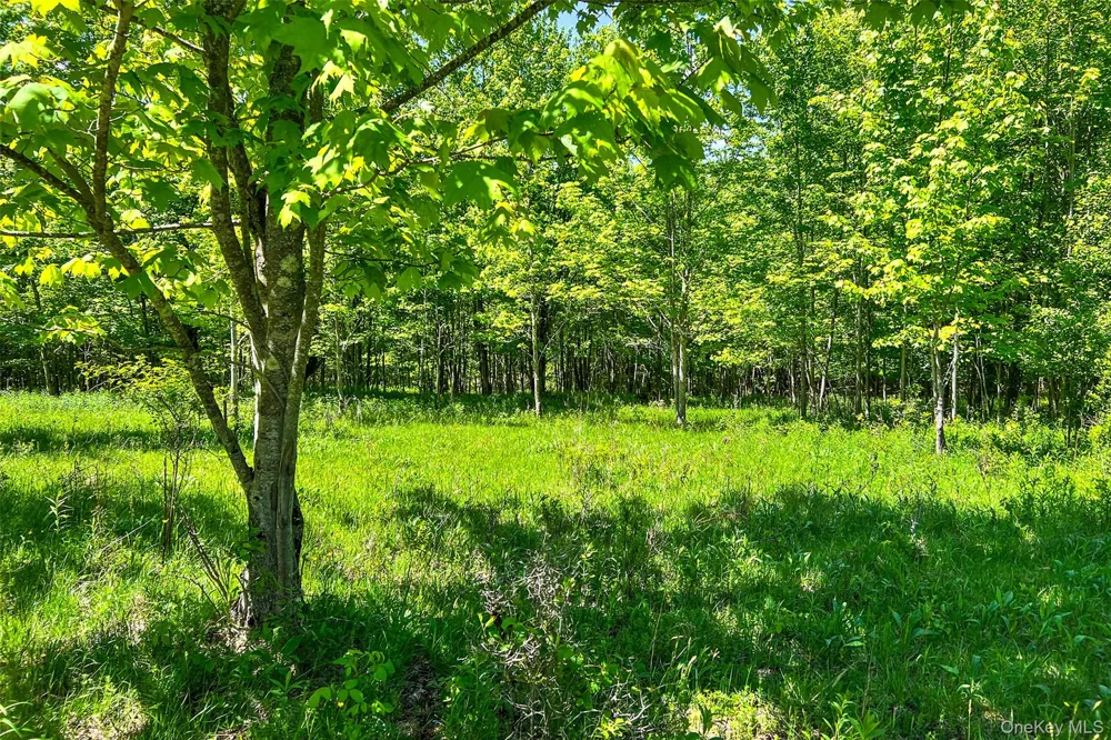 26 Federal Hill 2 Road Delhi, NY 13753