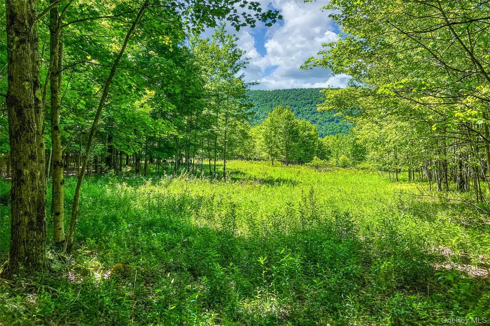 26 Federal Hill 2 Road Delhi, NY 13753