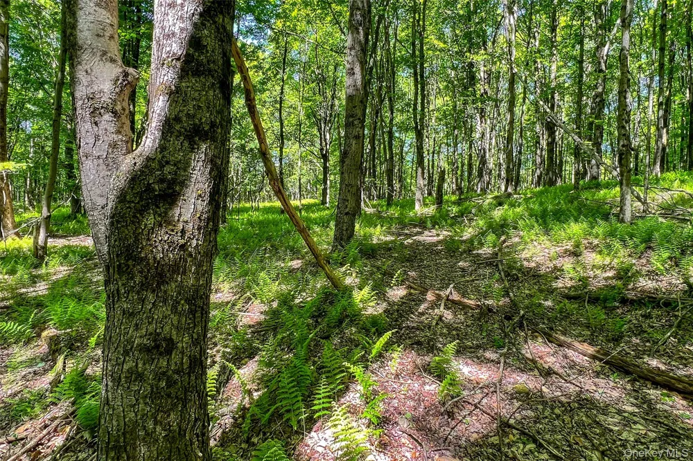 26 Federal Hill 2 Road Delhi, NY 13753
