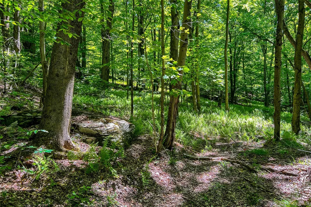 26 Federal Hill 2 Road Delhi, NY 13753