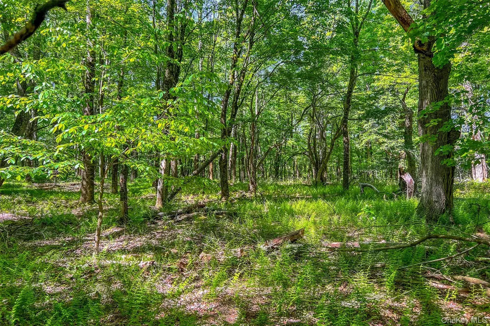 26 Federal Hill 2 Road Delhi, NY 13753