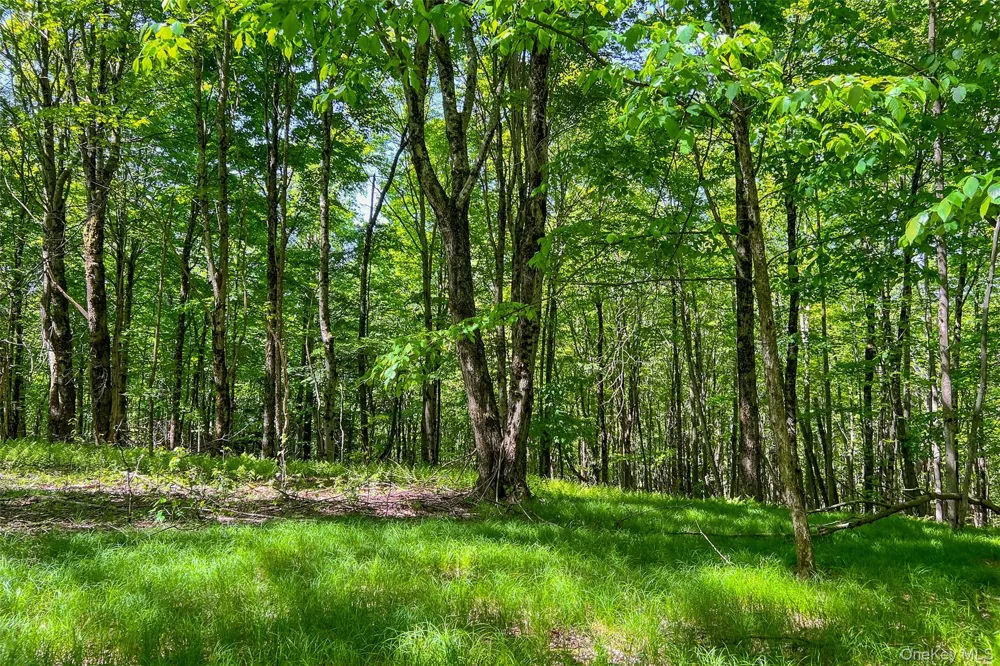 26 Federal Hill 2 Road Delhi, NY 13753