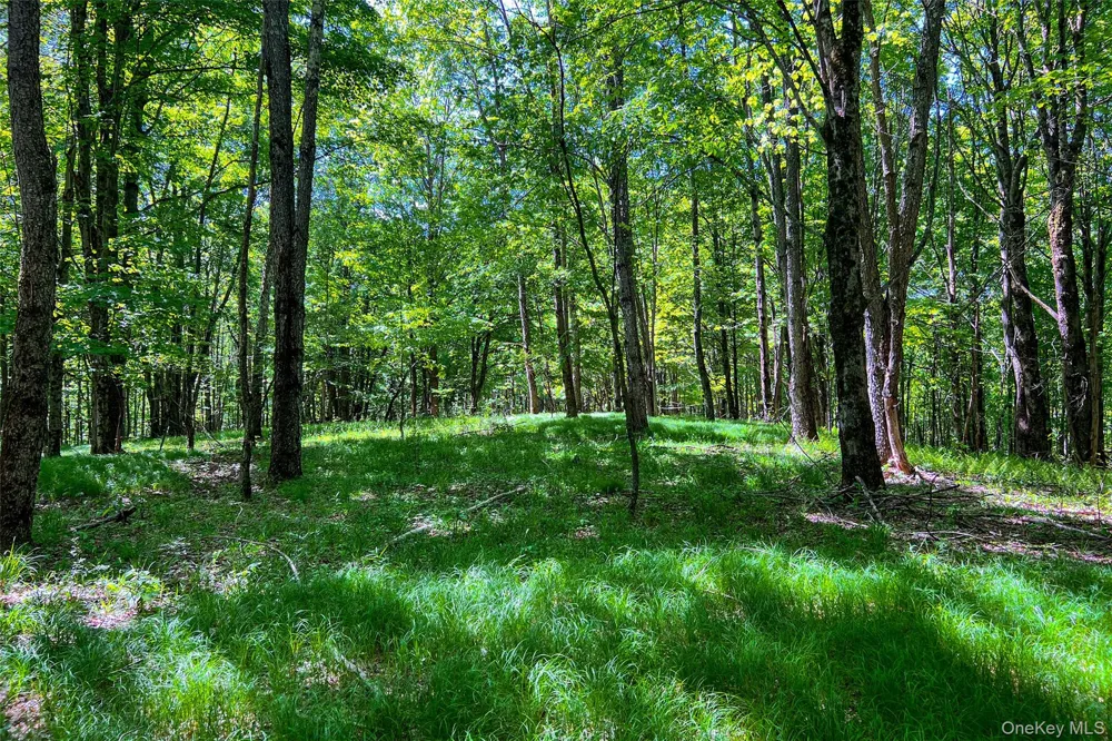 26 Federal Hill 2 Road Delhi, NY 13753