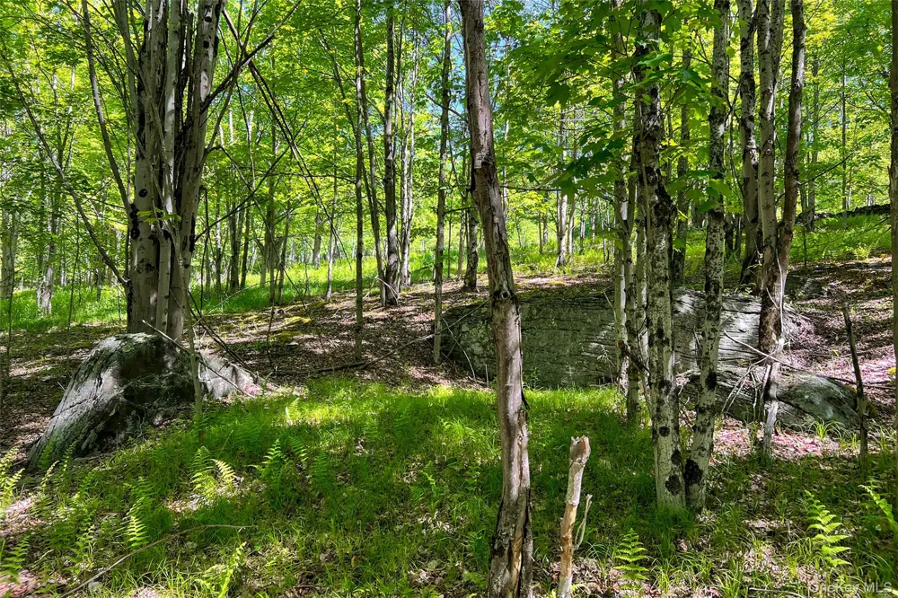 26 Federal Hill 2 Road Delhi, NY 13753