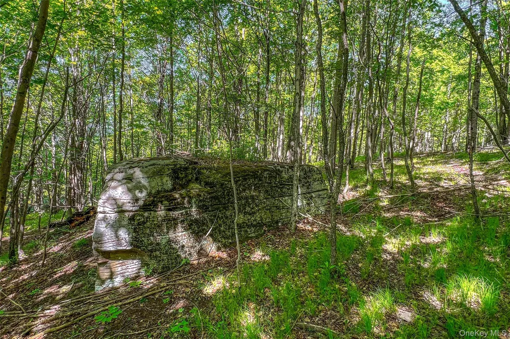 26 Federal Hill 2 Road Delhi, NY 13753