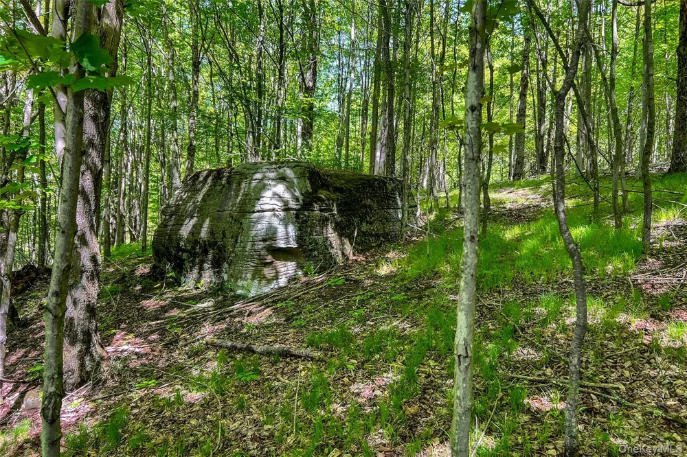 26 Federal Hill 2 Road Delhi, NY 13753