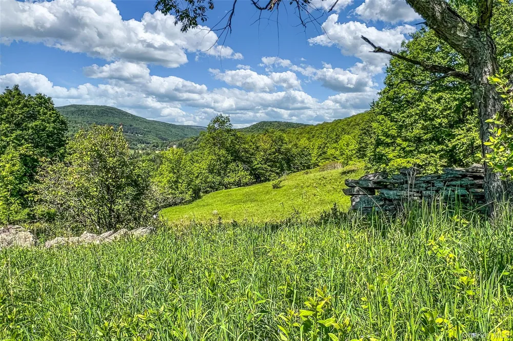 26 Federal Hill 2 Road Delhi, NY 13753