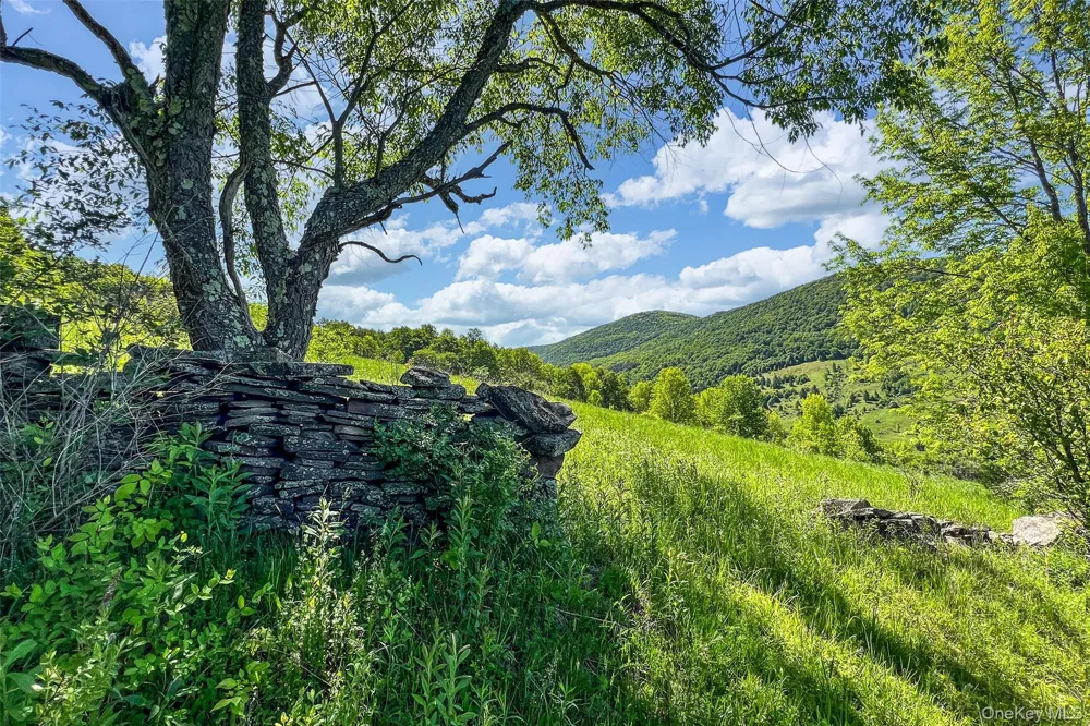 26 Federal Hill 2 Road Delhi, NY 13753