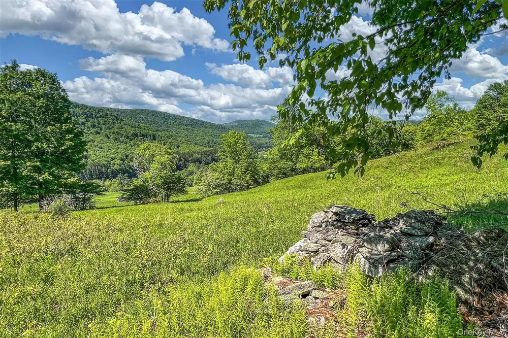 26 Federal Hill 2 Road Delhi, NY 13753