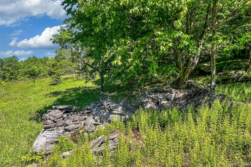 26 Federal Hill 2 Road Delhi, NY 13753