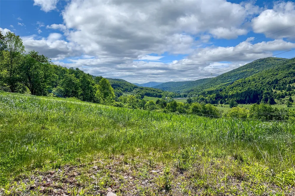 26 Federal Hill 2 Road Delhi, NY 13753
