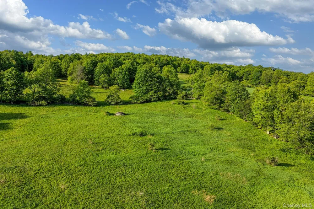 26 Federal Hill 2 Road Delhi, NY 13753