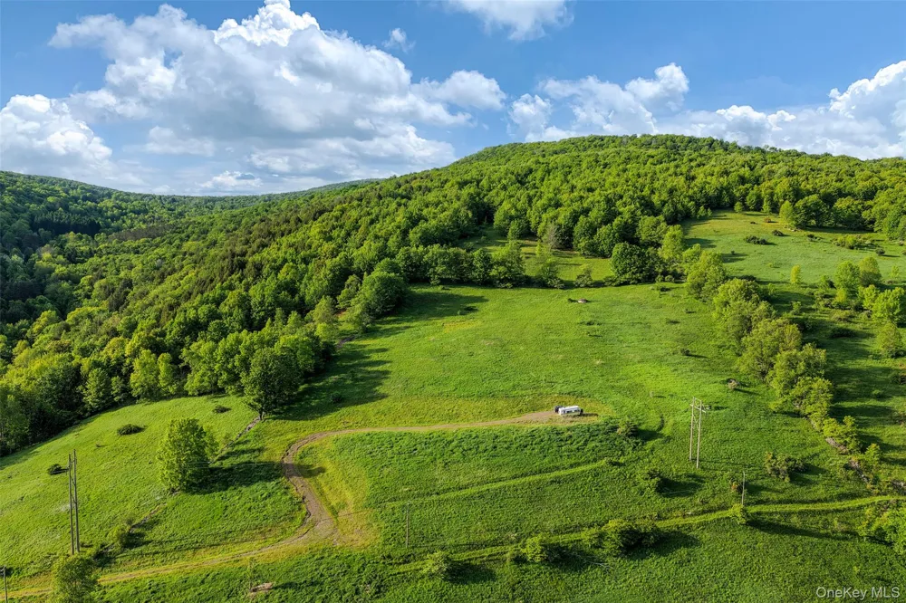 26 Federal Hill 2 Road Delhi, NY 13753