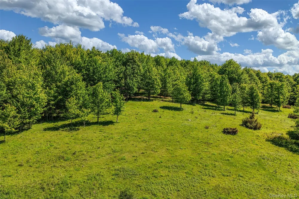 26 Federal Hill 2 Road Delhi, NY 13753